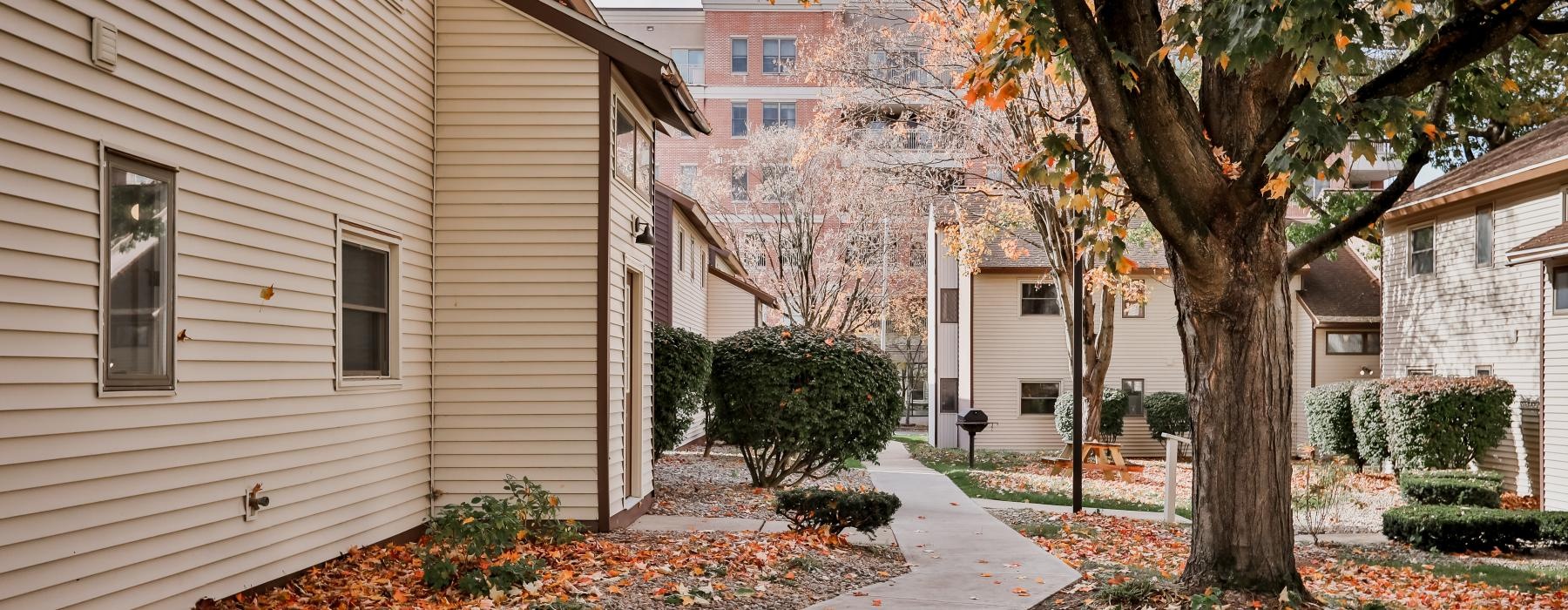 a sidewalk and trees next to a building