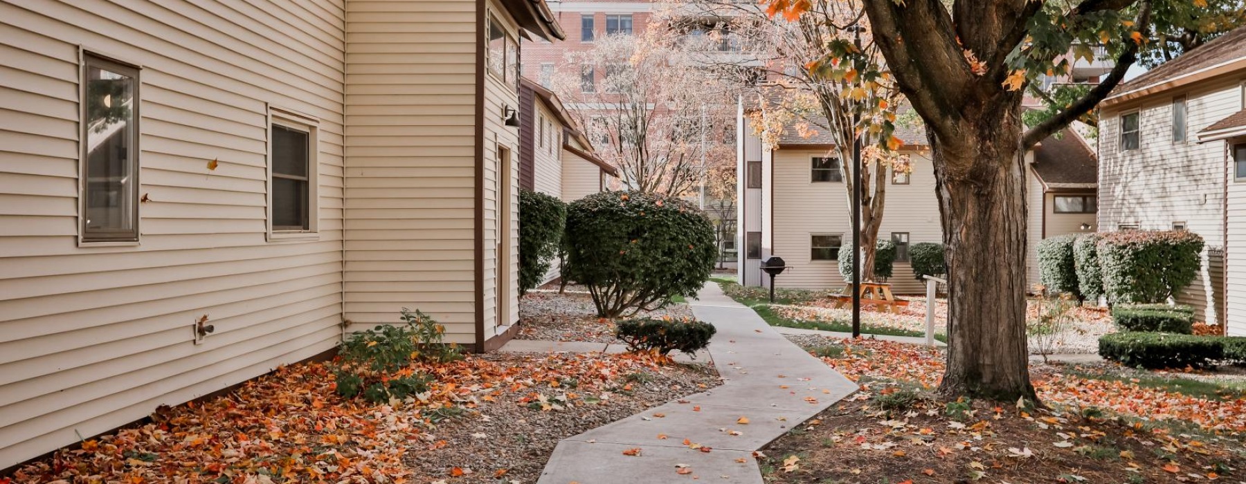 a sidewalk and trees next to a building